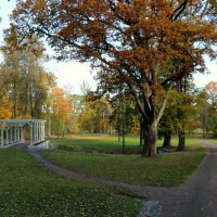 В парке Александрия :: Галина Козлова 