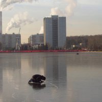 Говорят, "самые нетерпеливые" :-) :: Андрей Лукьянов