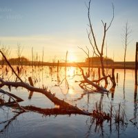 Осенний восход на озере деревянных фигур :: Сергей Шаталов