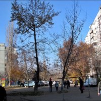 Голубое небо ноября :: Нина Корешкова