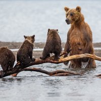 Урок рыбалки :: Денис Будьков