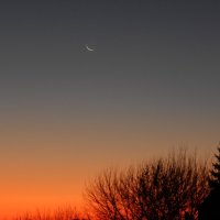месяц, Меркурий, рассвет :: Alisa Koteva 