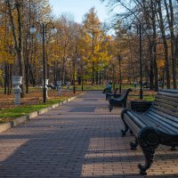 Осень в парке :: Евгения Митина