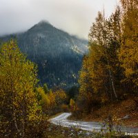 Махарское ущелье :: Александр Богатырёв