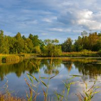 Пейзаж парка "Зверинец", Гатчина :: Дарья Меркулова