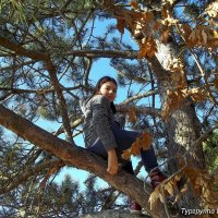 Дети любят деревья :: Михаил Шабанов