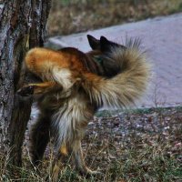 Зоркий глаз фотографа :: олег свирский 