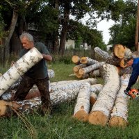 Опять заготовка дров :: Светлана Рябова-Шатунова