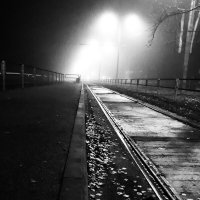 Осенний, утренний туман :: Inga Catlaka