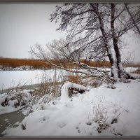 Первый снег. :: Павел 