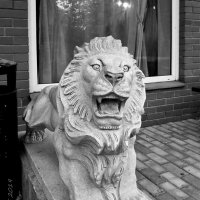 Скульптура льва. :: Liudmila LLF