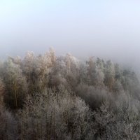 Туман и мороз :: Heinz Thorns