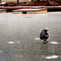 По тонкому льду. :: Татьяна Помогалова