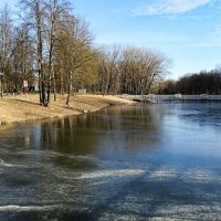 Замерзающий водоём. :: Милешкин Владимир Алексеевич 