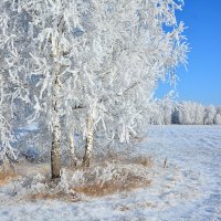 Зима :: Геннадий Супрун