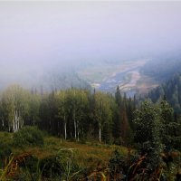 Наседает туман :: Сергей Чиняев 