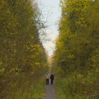 Пожилая пара на прогулке :: Дарья Меркулова