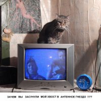 TV-Антенна :: genar-58 '