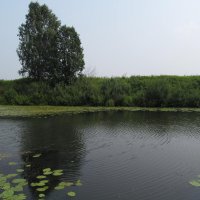 Милое озеро. :: Олег Дубов