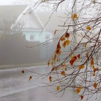 Три капли дождя и немного тумана... Природа шедевры творит без обмана... :: Татьяна Смоляниченко
