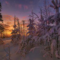 Зимнее утро :: Vladimbormotov 