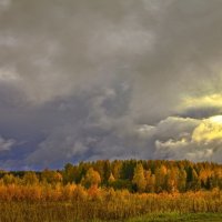 Осенние ккраски :: Дмитрий Балашов