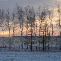 Утро,начало сегодняшнего дня. :: сергей 