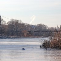 Замерзающая река Теза. :: Сергей Пиголкин