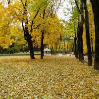 Осенний городской сад :: Милешкин Владимир Алексеевич 