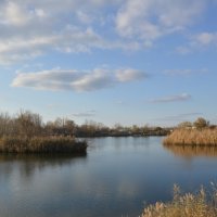 Осень ты прекрасна. :: Виктор 