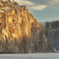 Почему деревья не стали большими? :: Михаил Полыгалов