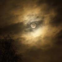 Ночное небо :: Aнна Зарубина