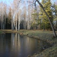 Павловский парк. Долина прудов :: Наталья Герасимова