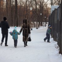 В парке Лесоводов. :: Ильсияр Шакирова