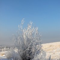 Встречаем зиму. :: nadyasilyuk Вознюк