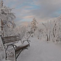 Зима на Черной скале. :: Galina Serebrennikova