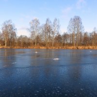 По твердой воде. :: александр пеньков