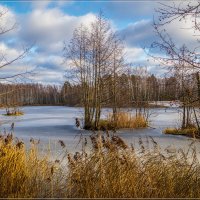 Первое утро зимы 2 :: Андрей Дворников