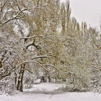 Снежные наряды :: Ольга Винницкая (Olenka)