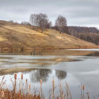 Ещё не замерзший пруд :: Константин 