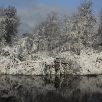 Зимнее отражение. :: Павел 