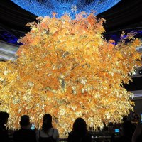 "Золотое дерево процветания" в казино WYNN Макао Китай :: wea *