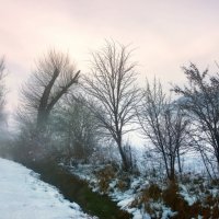 зимний туман :: Elena Wymann