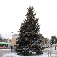 Будни города, спешащего к Новому году :: Надежд@ Шавенкова