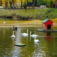 Осень в городском саду :: Милешкин Владимир Алексеевич 