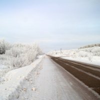 Коли на Прокопьев день тепло, то зима будет долгой и снежной.. :: Андрей Заломленков
