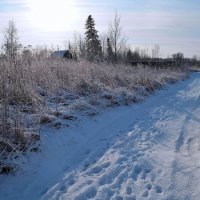 В ноябре :: Вера Андреева