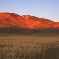 Монгольские пейзажи :: Salamon2005 