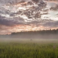 Вечерние дымки :: Лара Симонова 