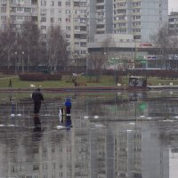 У сокольника и сын - голубятник :: Андрей Лукьянов